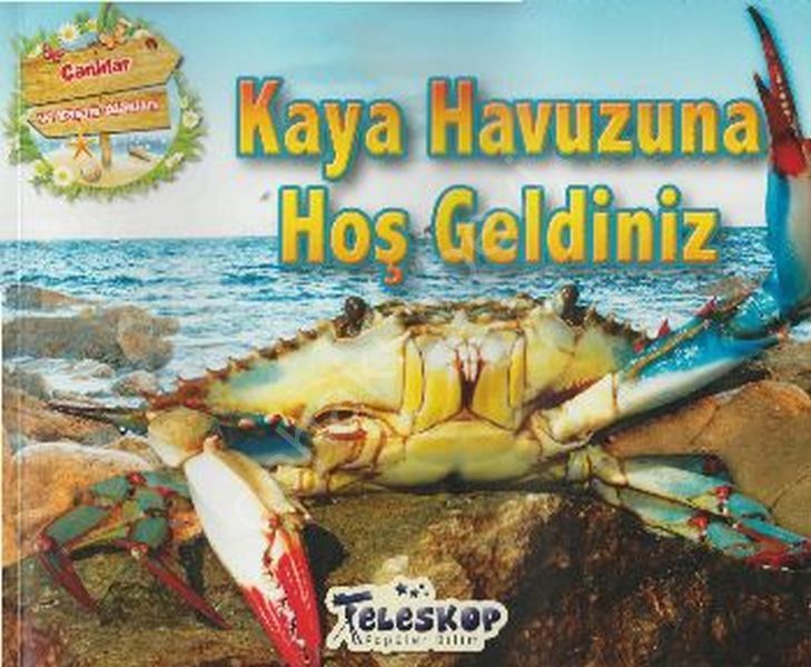 Kaya Havuzuna Hoş Geldiniz, Teleskop Popüler Bilim