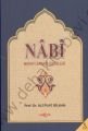 Nabi Hayatı Sanatı Eserleri, Ali Fuat Bilkan, Akçağ Yayınları