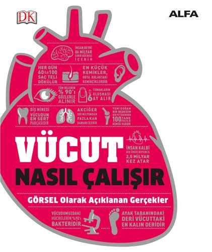 Vücut Nasıl Çalışır - Ciltli, Kolektif