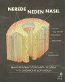 Nerede Neden Nasıl, Deniz Öztok