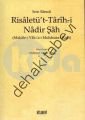 Risaletü't Tarih-i Nadir Şah, Mehmet Yaşar Ertaş