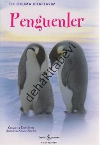 Penguenler, Susanna Davidson