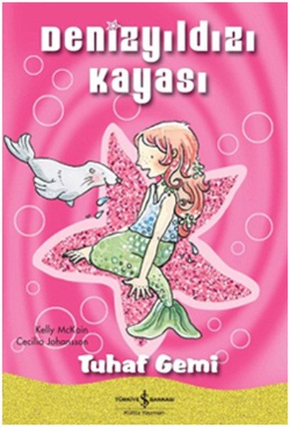 Denizyıldızı Kayası-Tuhaf Gemi