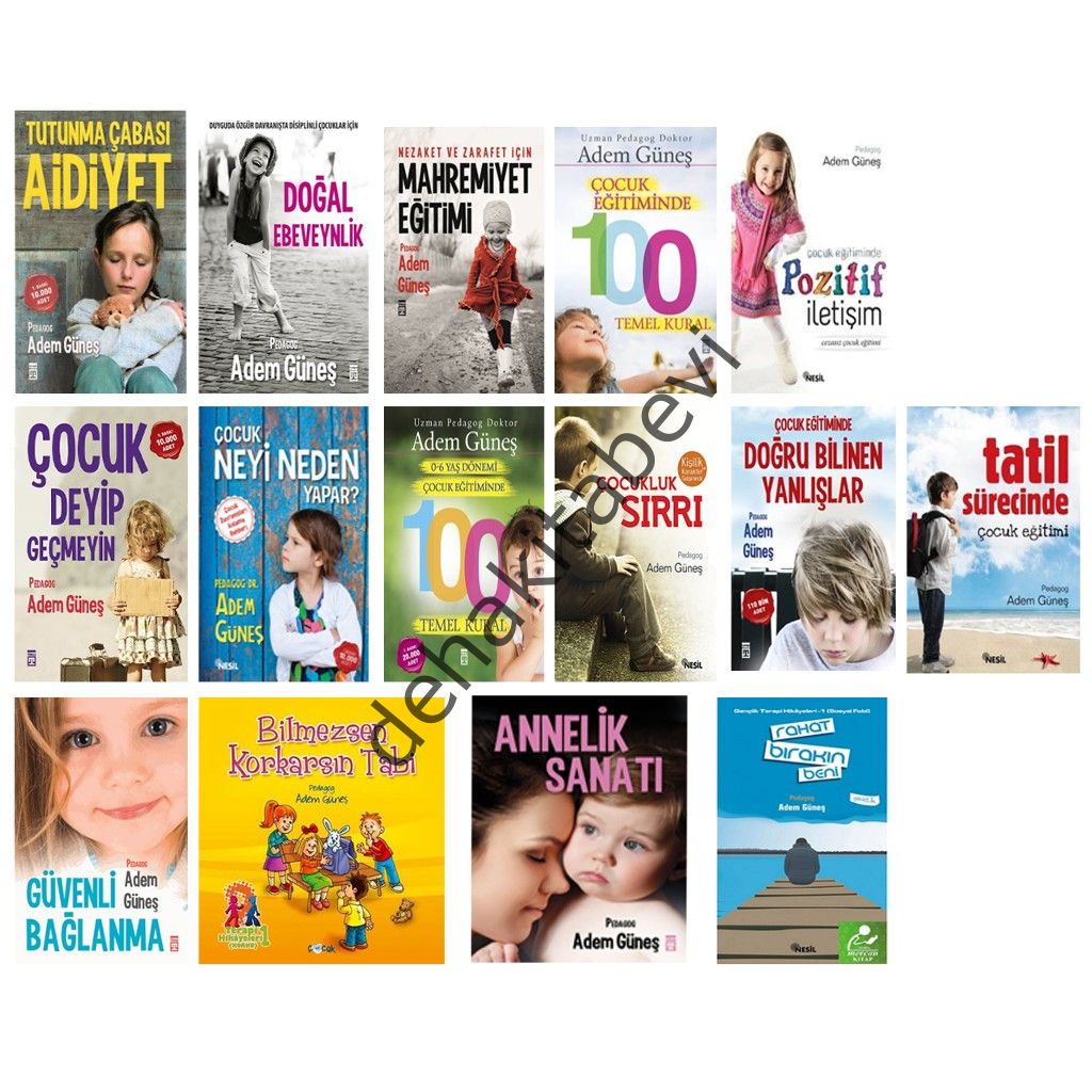 Pedagog Adem Güneş Kitapları 17 Kitaplık Set