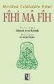 Fihi Ma Fih, Mevlana Celaleddin-i Rumi