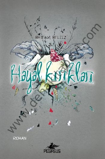 Hayal Kırıkları