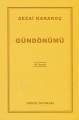 Gündönümü, Diriliş Yayınları
