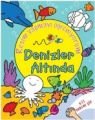 Denizler Altında Resim Yapmayı Öğreniyorum, İş Bankası Kültür Yayınları