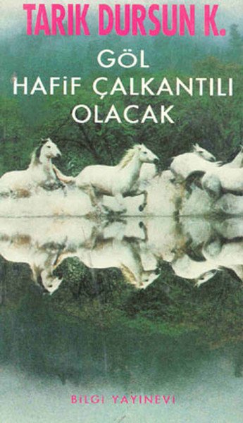 Göl Hafif Çalkantılı Olacak, Tarık Dursun K.