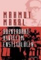 Bozkırdaki Kıvılcım Enstitülüler, Mahmut Makal, Literatür