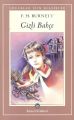 Gizli Bahçe,Frances Hodgson Burnett