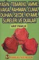 ÜÇ GÜLLÜ YASİN (YAS-005), Pamuk Yayıncılık