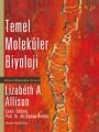 TEMEL MOLEKÜLER BİYOLOJİ (ALLİSON)