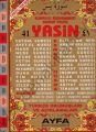 Cami Boy 41 Yasin Türkçeli-Ayfa032, Ayfa Basın Yayın