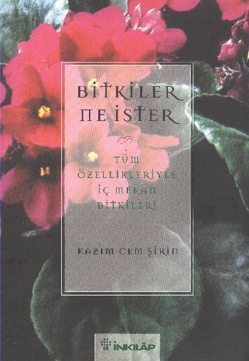 Bitkiler Ne İster Tüm Özellikleriyle İç Mekan Bitkileri