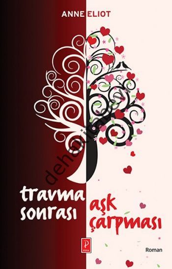 Travma Sonrası Aşk Çarpması, Anne Eliot