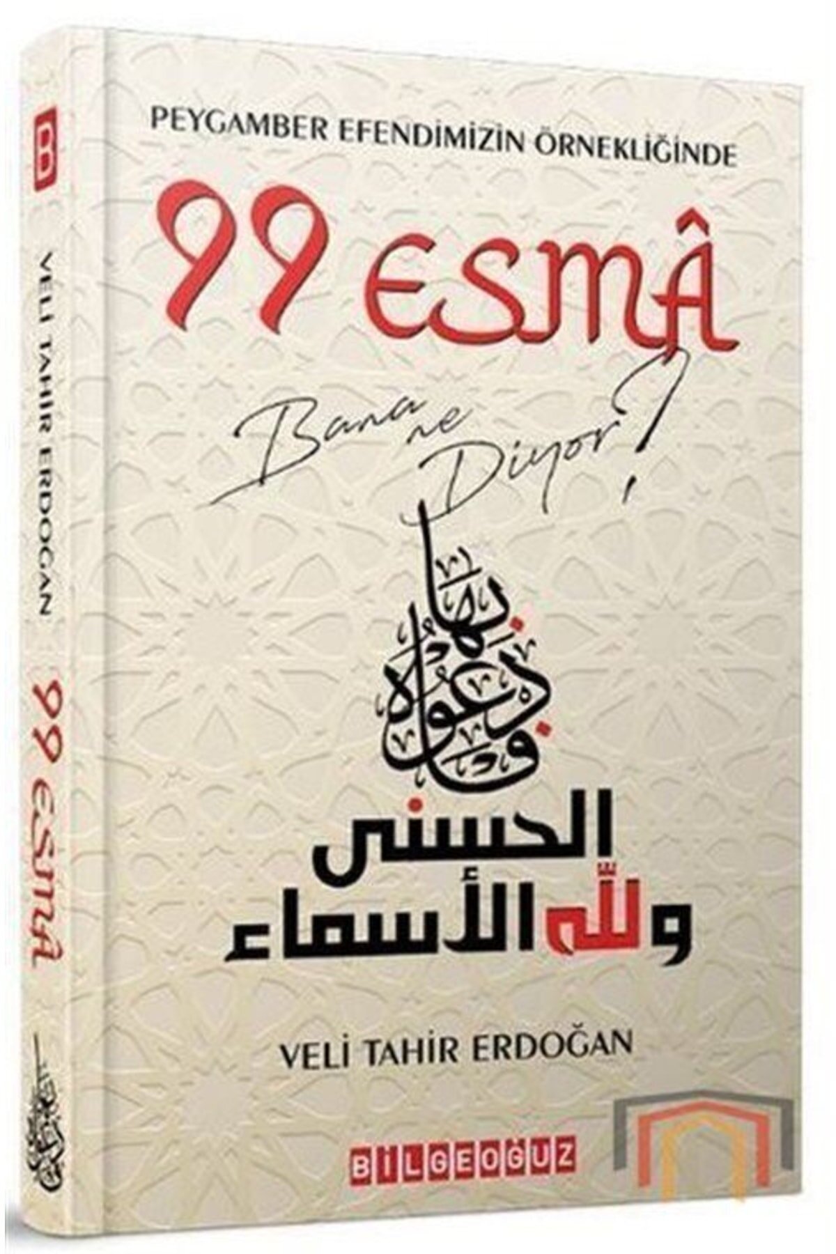 99 Esma Bana Ne Diyor?, Veli Tahir Erdoğan