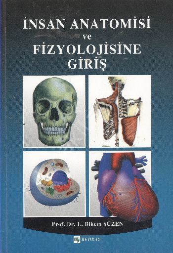 İnsan Anatomisi ve Fizyolojisine Giriş, Bedray