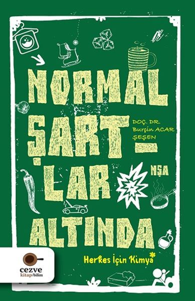 Normal Şartlar Altında, Burçin Acar Şeşen