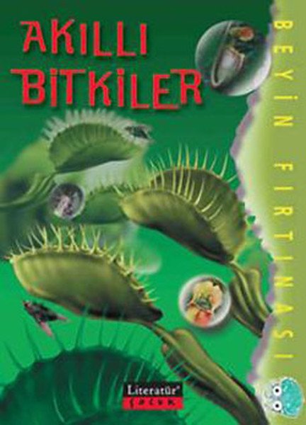 Akıllı Bitkiler Beyin Fırtınası, Katy Pike