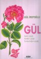 Gül Aşkın Çiçeği Sanatın Çiçeği Sonsuzluğun Çiçeği, Gül İrepoğlu