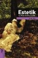 Estetik, Avner Ziss, HayalPerest Kitap