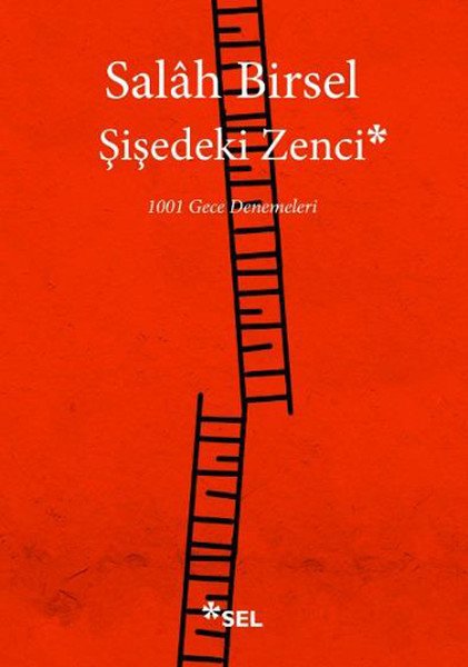 Şişedeki Zenci, Salah Birsel