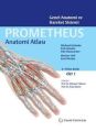 Anatomi Atlası Prometheus Cilt 1, Mehmet Yıldırım