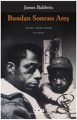 Bundan Sonrası Ateş, James Baldwin