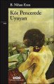 Kör Pencerede Uyuyan, B. Nihan Eren