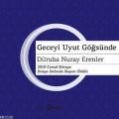Geceyi Uyut Göğsünde, Dilruba Nuray Erenler, Hayal Yayınları