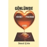 Gönlümde Hikmet Pınarının Arısı, İsmail Çetin, Dilara Yayınları