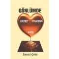 Gönlümde Hikmet Pınarının Arısı, İsmail Çetin, Dilara Yayınları