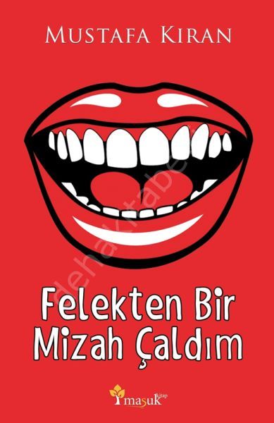 Felekten Bir Mizah Çaldım, Maşuk Kitap