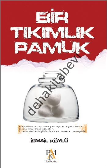 Bir Tıkımlık Pamuk, İsmail Köylü