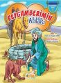 Peygamberimin Ahlakı Ciltli, Siyer Yayınları