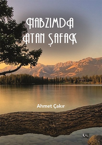 Nabzımda Atan Şafak, Ahmet Çakır