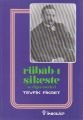 Rübab, ı Şikeste Ve Diğer Eserleri, Tevfik Fikret