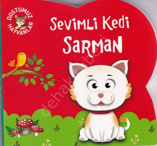 Sevimli Kedi Sarman , Net Çocuk