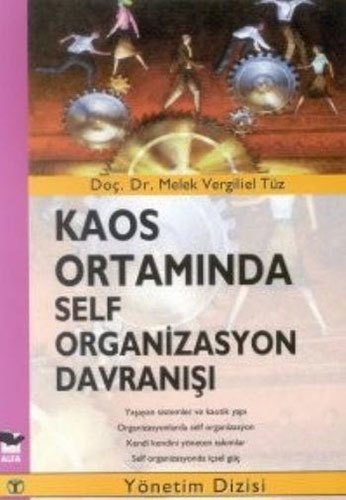 Kaos Ortamında Self Organizasyon Davranışı, Melek Vergiliel Tüz
