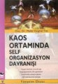 Kaos Ortamında Self Organizasyon Davranışı, Melek Vergiliel Tüz