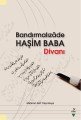 Bandırmalızade Haşim Baba Divanı, Mehmet Akif Yalçınkaya