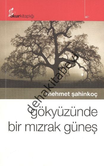 Gökyüzünde Bir Mızrak Güneş, Mehmet Şahinkoç
