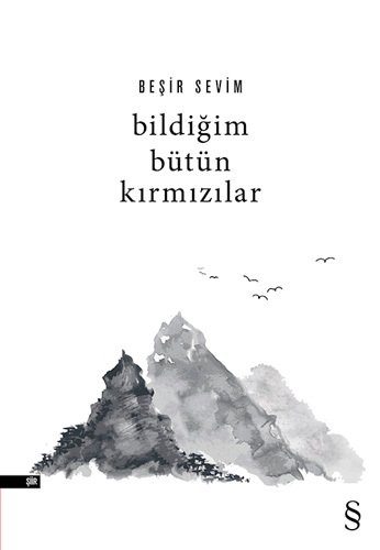 Bildiğim Bütün Kırmızılar, Beşir Sevim