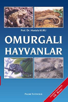 OMURGALI  HAYVANLAR