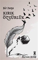 Bir Parça Kırık Özgürlük, Beyza Nur Öztürk, Arines Yayıncılık