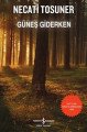 Güneş Giderken, Necati Tosuner