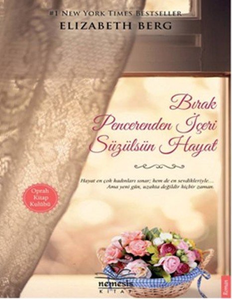 Bırak Pencerenden İçeri Süzülsün Hayat, Elizabeth Berg