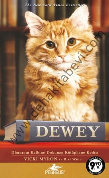 Dewey (Cep Boy); Dünyanın Kalbine Dokunan Kütüphane Kedisi