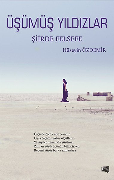 Üşümüş Yıldızlar Şiirde Felsefe, Hüseyin Özdemir